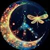 dianmoon315